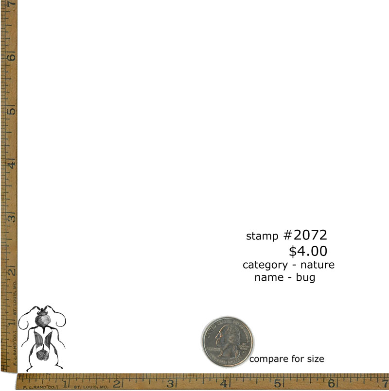 #2072 - Bug - Nature